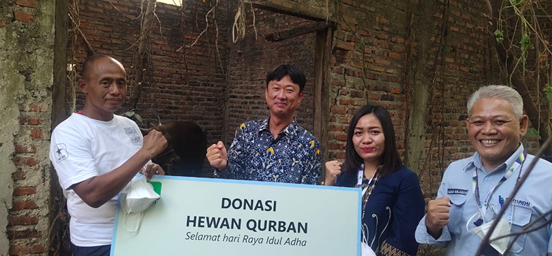 Donasi Hewan Qurban